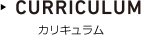 CURRICULUM